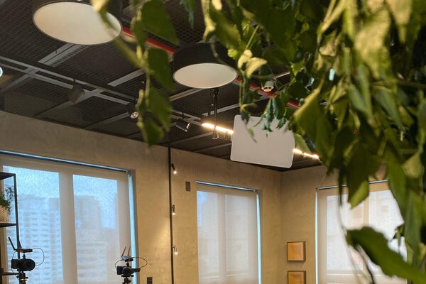 Sala do estúdio: teto, plantas e janelas