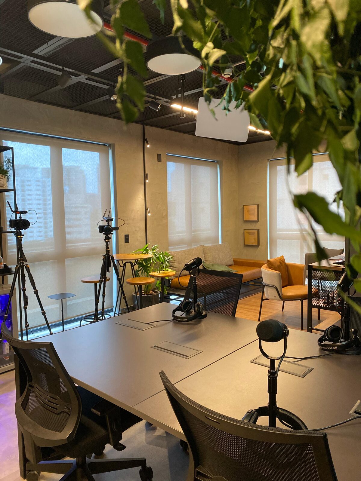 Sala de gravação: mesa ampla, microfones, janelas e plantas